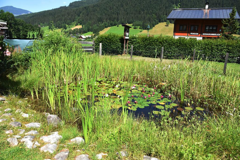 Fruehstueckspension Pachler Gosau Exterior photo
